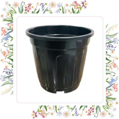 Free Gift - 6 Inch Black Super Nursery Pot - Flash Sale