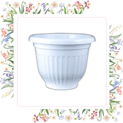 Free Gift - 8 Inch White Olive Plastic Pot - Flash Sale