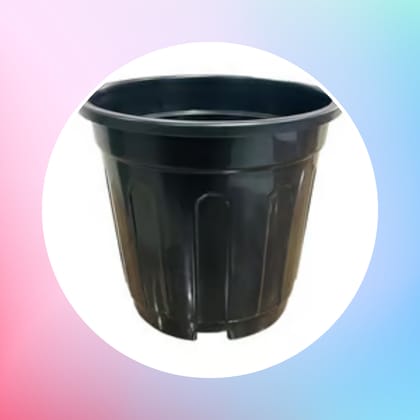 Free Gift - 6 Inch Black Super Nursery Pot - Flash Sale