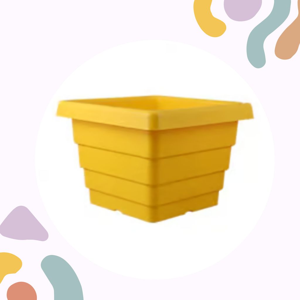 Free Gift - 4 Inch Yellow Premium Orchid Square Plastic Pot - Flash Sale