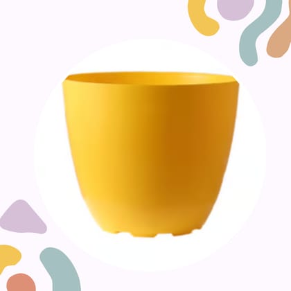 Free Gift - 4 Inch Yellow Premium Orchid Round Plastic Pot - Flash Sale