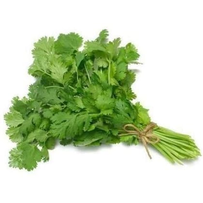 Buy Coriander / Dhaniya Seeds - Excellent Germination Online | Urvann.com