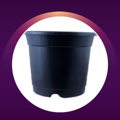 Free Gift - 4 Inch Black Nursery Pot - Flash Sale