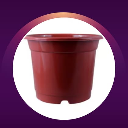 Free Gift - 4 Inch Red Nursery Pot - Flash Sale