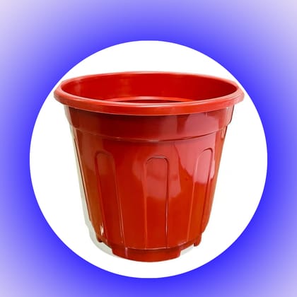 Free Gift - 6 Inch Red Super Nursery Pot - Flash Sale