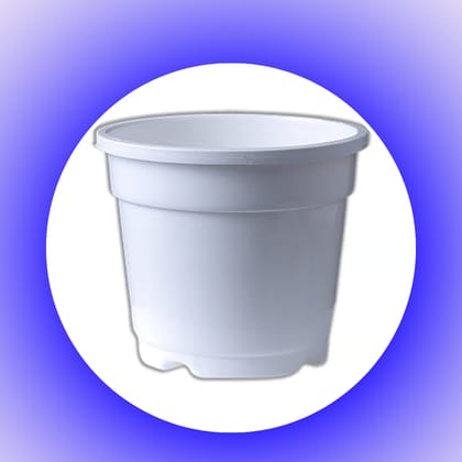 Free Gift - 4 Inch White Nursery Pot - Flash Sale