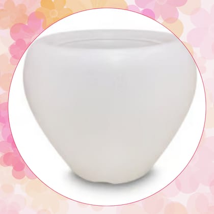 Free Gift - 4 Inch White Apple Pot - Flash Sale