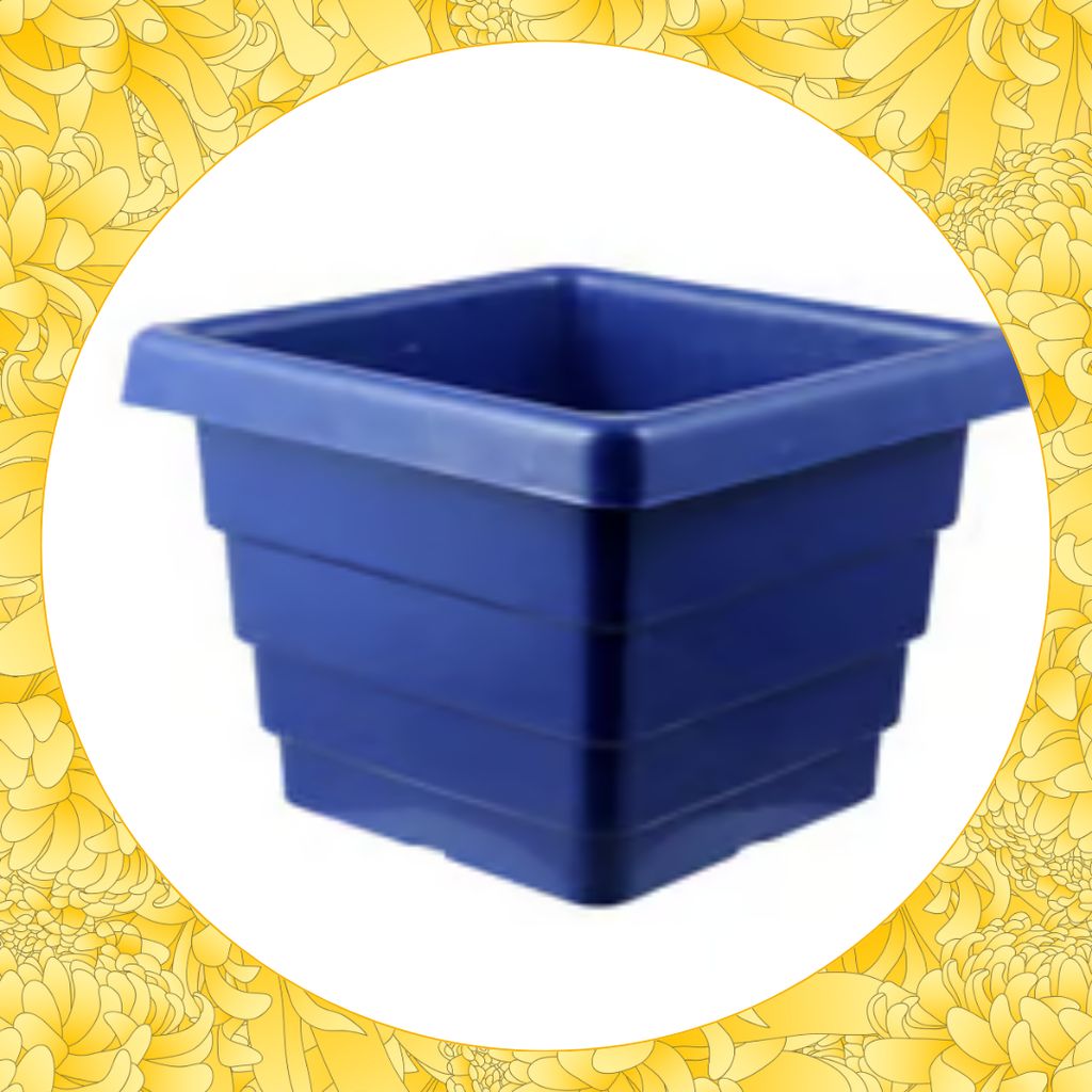 Free Gift - 4 Inch Blue Premium Orchid Square Plastic Pot - Flash Sale