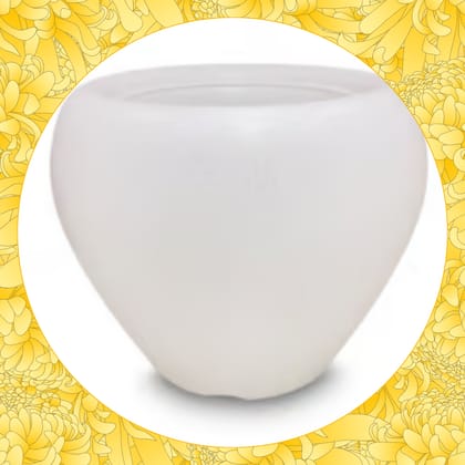 Free Gift - 4 Inch White Apple Pot - Flash Sale