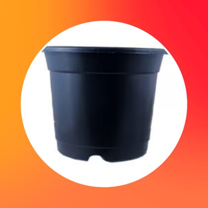 Free Gift - 4 Inch Black Nursery Pot - Flash Sale