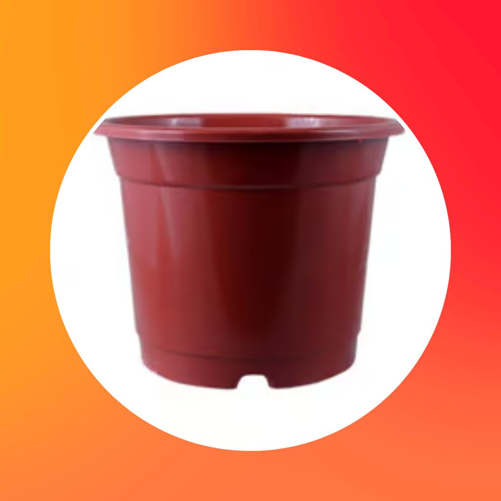 Free Gift - 4 Inch Red Nursery Pot - Flash Sale