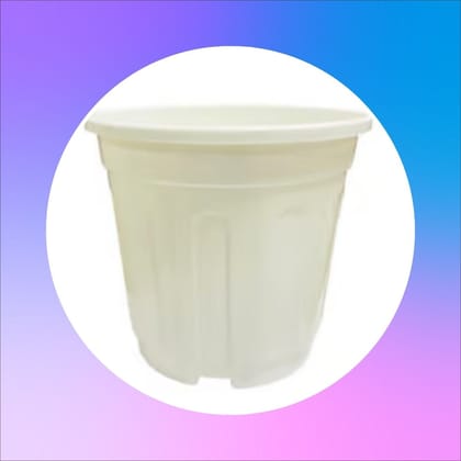 6 Inch White Super Nursery Pot