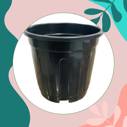 Free Gift - 6 Inch Black Super Nursery Pot - Flash Sale