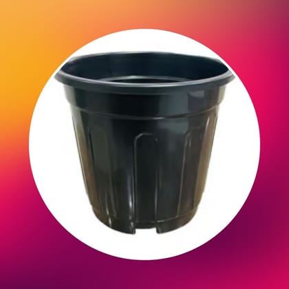 Free Gift - 6 Inch Black Super Nursery Pot - Flash Sale